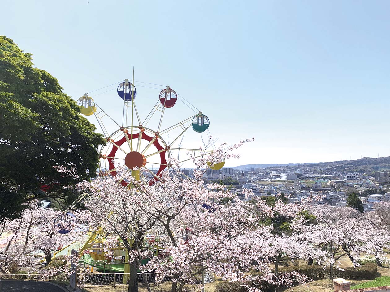 Aかみね公園と桜