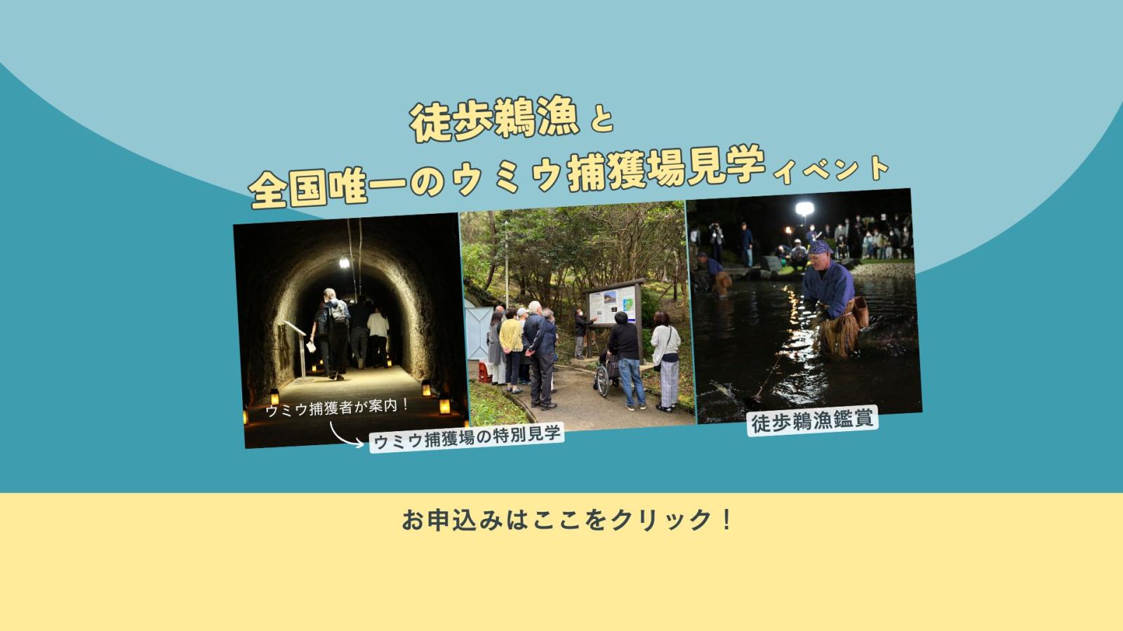 ウミウ特別イベント